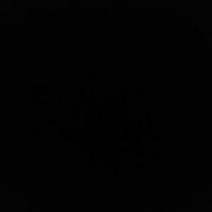 Meet your Posher, Logan